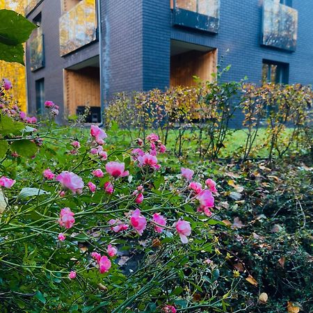 Apartament Magia Puszczy Hajnówka Zewnętrze zdjęcie