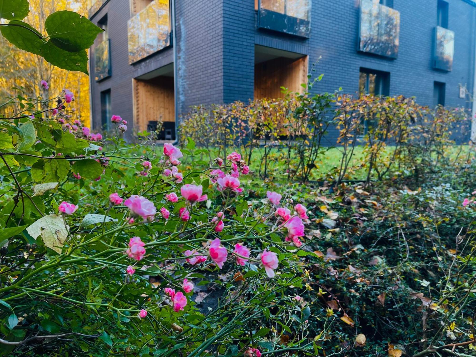 Apartament Magia Puszczy Hajnówka Zewnętrze zdjęcie